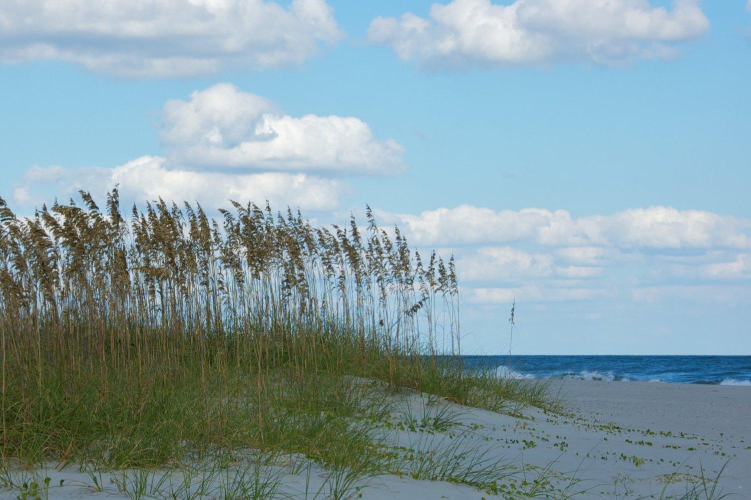 Vila Sea Cabin On The Ocean - 146 Myrtle Beach Exteriér fotografie